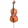 Виолончель ANTONIO LAVAZZA CL-280M 3/4 купить в Москве: цены, доставка, фото Виолончель ANTONIO LAVAZZA CL-280M 3/4 купить в Москве: цены, доставка, фото