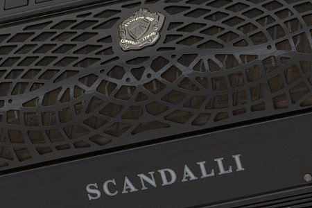 Баян Scandalli Extreme C Plus купить в Москве: цены, доставка, фото Баян Scandalli Extreme C Plus купить в Москве: цены, доставка, фото