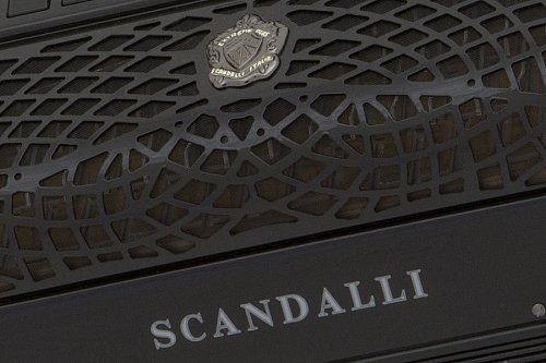 Баян Scandalli Extreme C Plus купить в Москве: цены, доставка, фото Баян Scandalli Extreme C Plus купить в Москве: цены, доставка, фото