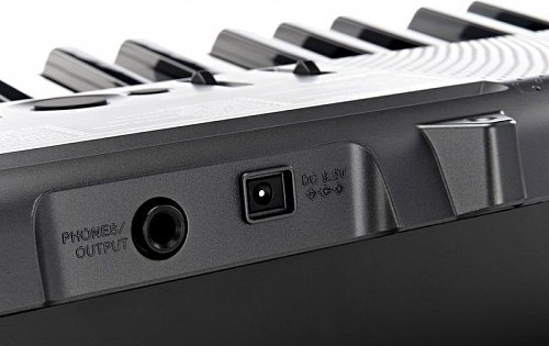 Синтезатор Casio CTK-1250 (без адаптера) купить в Москве: цены, доставка, фото Синтезатор Casio CTK-1250 (без адаптера) купить в Москве: цены, доставка, фото