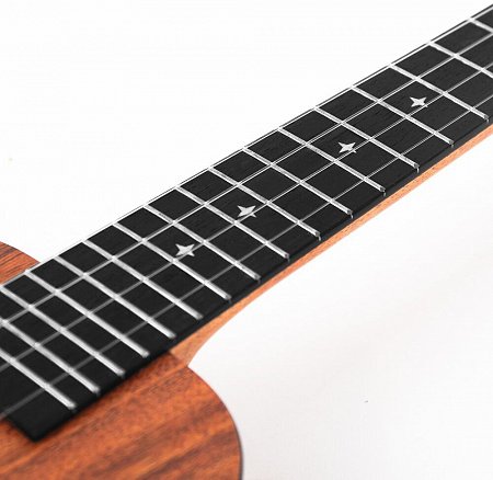 Укулеле Enya EUC-X1 купить в Москве: цены, доставка, фото Укулеле Enya EUC-X1 купить в Москве: цены, доставка, фото