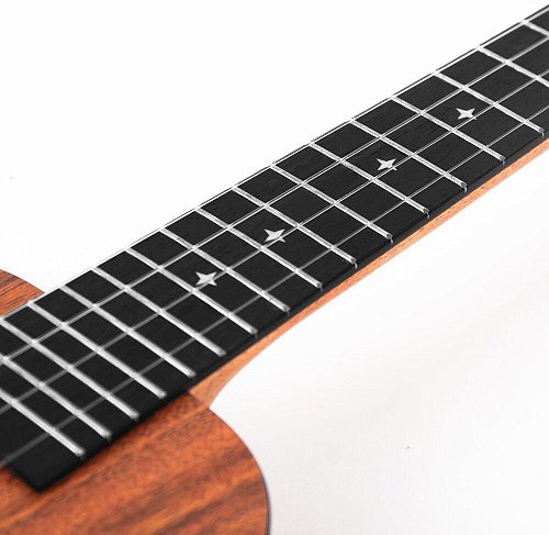 Укулеле Enya EUC-X1 купить в Москве: цены, доставка, фото Укулеле Enya EUC-X1 купить в Москве: цены, доставка, фото