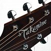 TAKAMINE ARTIST EF360GF GLENN FREY SIGNATURE электроакустическая гитара типа DREADNOUGHT с кейсом, цвет- натуральный купить в Москве: цены, доставка, фото TAKAMINE ARTIST EF360GF GLENN FREY SIGNATURE электроакустическая гитара типа DREADNOUGHT с кейсом, цвет- натуральный купить в Москве: цены, доставка, фото