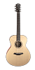 FURCH Green G-SM Акустическая гитара с кейсом купить в Москве: цены, доставка, фото