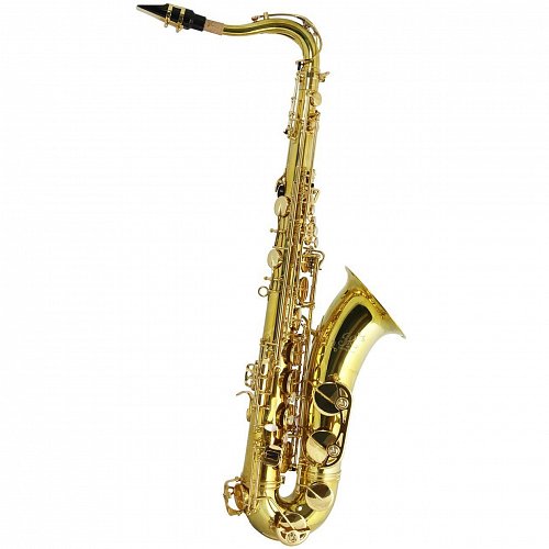 Тенор саксофон Trevor James SR 384SR-KK купить в Москве: цены, доставка, фото Тенор саксофон Trevor James SR 384SR-KK купить в Москве: цены, доставка, фото