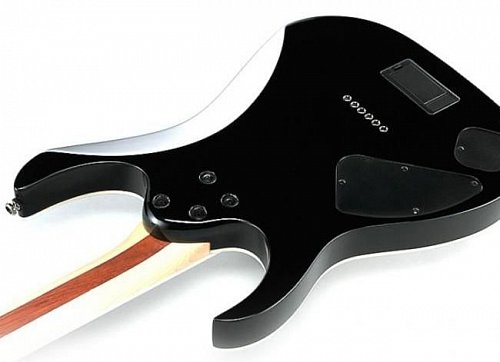 IBANEZ IRON LABEL RGIR20FE-BK электрогитара купить в Москве: цены, доставка, фото IBANEZ IRON LABEL RGIR20FE-BK электрогитара купить в Москве: цены, доставка, фото