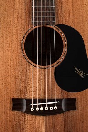 Гитара Maton EBW808 купить в Москве: цены, доставка, фото Гитара Maton EBW808 купить в Москве: цены, доставка, фото