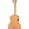 TR2-2 Гитара электро-акустическая, трэвел, акация, Poni купить в Москве: цены, доставка, фото TR2-2 Гитара электро-акустическая, трэвел, акация, Poni купить в Москве: цены, доставка, фото