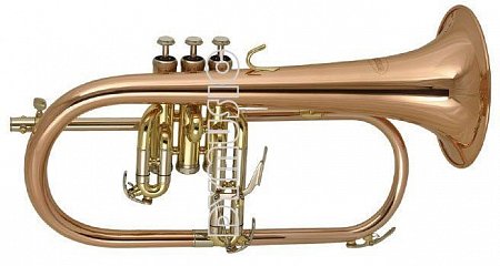 Флюгельгорн WISEMANN FLH-600 купить в Москве: цены, доставка, фото Флюгельгорн WISEMANN FLH-600 купить в Москве: цены, доставка, фото