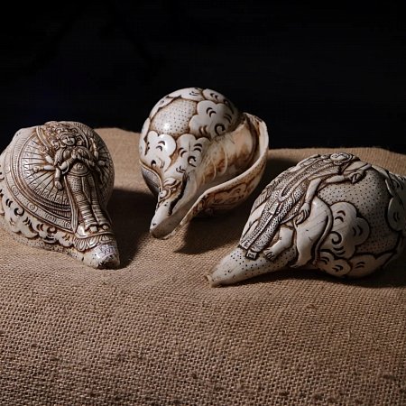 Поющая раковина Shankha Carving продажа в Москве Поющая раковина Shankha Carving купить в Москве: цены, доставка, фото