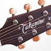 TAKAMINE ARTIST KC70 KENNY CHESNEY SIGNATURE электроакустическая гитара с кейсом типа ORCESTRA купить в Москве: цены, доставка, фото TAKAMINE ARTIST KC70 KENNY CHESNEY SIGNATURE электроакустическая гитара с кейсом типа ORCESTRA купить в Москве: цены, доставка, фото