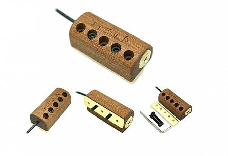 Tesla BANJO BRACKET/GD Подсоединяемый джек-разъём для банджо купить в Москве: цены, доставка, фото Tesla BANJO BRACKET/GD Подсоединяемый джек-разъём для банджо купить в Москве: цены, доставка, фото