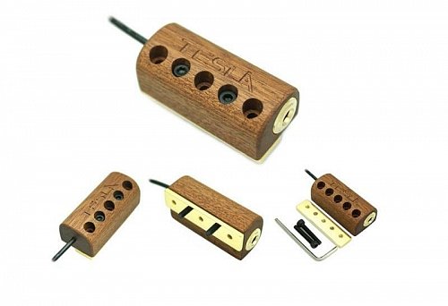 Tesla BANJO BRACKET/GD Подсоединяемый джек-разъём для банджо купить в Москве: цены, доставка, фото Tesla BANJO BRACKET/GD Подсоединяемый джек-разъём для банджо купить в Москве: цены, доставка, фото