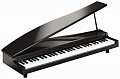 KORG microPIANO миниатюрное цифровое пианино купить в Москве: цены, доставка, фото KORG microPIANO миниатюрное цифровое пианино купить в Москве: цены, доставка, фото