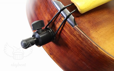 Виола Да Гамба 7 стун, корпус 27" купить в Москве: цены, доставка, фото Виола Да Гамба 7 стун, корпус 27" купить в Москве: цены, доставка, фото