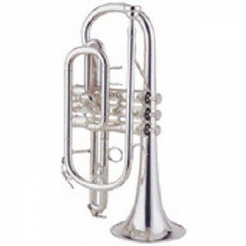 Корнет "Bb" BRAHNER CR-430S купить в Москве: цены, доставка, фото Корнет "Bb" BRAHNER CR-430S купить в Москве: цены, доставка, фото