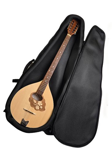 Чехол Бузуки Skybeat купить в Москве: цены, доставка, фото Чехол Бузуки Skybeat купить в Москве: цены, доставка, фото