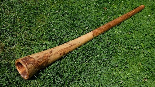 Диджериду из жёлтого эвкалипта 150 см – До# продажа в Москве Диджериду из жёлтого эвкалипта 150 см – До# купить в Москве: цены, доставка, фото