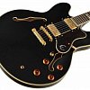 EPIPHONE SHERATON II PRO EBONY полуакустическая электрогитара купить в Москве: цены, доставка, фото EPIPHONE SHERATON II PRO EBONY полуакустическая электрогитара купить в Москве: цены, доставка, фото