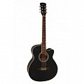Акустическая гитара Jonson E4111 BK купить в Москве: цены, доставка, фото Акустическая гитара Jonson E4111 BK купить в Москве: цены, доставка, фото