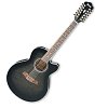 IBANEZ AEL2012E TRANSPARENT BLACK SUNBURST акустическая гитара купить в Москве: цены, доставка, фото