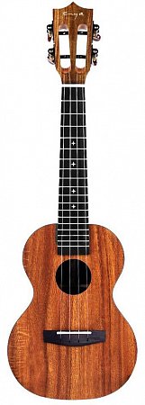 Укулеле Enya EUC-X1 купить в Москве: цены, доставка, фото Укулеле Enya EUC-X1 купить в Москве: цены, доставка, фото