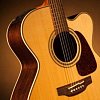 TAKAMINE PRO SERIES 5 P5JC электроакустическая гитара типа JUMBO CUTAWAY с кейсом, цвет натуральный купить в Москве: цены, доставка, фото TAKAMINE PRO SERIES 5 P5JC электроакустическая гитара типа JUMBO CUTAWAY с кейсом, цвет натуральный купить в Москве: цены, доставка, фото