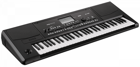 KORG Pa300, профессиональная аранжировочная станция купить в Москве: цены, доставка, фото