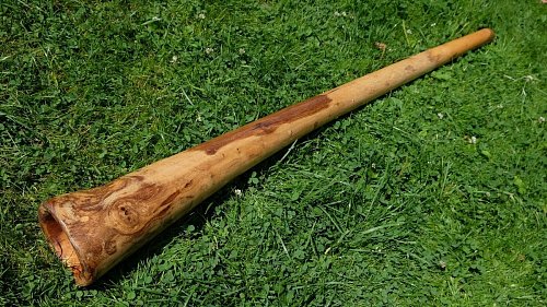 Диджериду из жёлтого эвкалипта 150 см – До# продажа в Москве Диджериду из жёлтого эвкалипта 150 см – До# купить в Москве: цены, доставка, фото