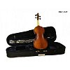Скрипка HANS KLEIN HKV-2 GW 4/4 купить в Москве: цены, доставка, фото Скрипка HANS KLEIN HKV-2 GW 4/4 купить в Москве: цены, доставка, фото
