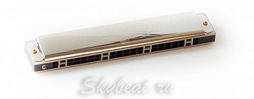 Губная гармошка Suzuki SU-21SP Tremolo Special C купить в Москве: цены, доставка, фото Губная гармошка Suzuki SU-21SP Tremolo Special C купить в Москве: цены, доставка, фото