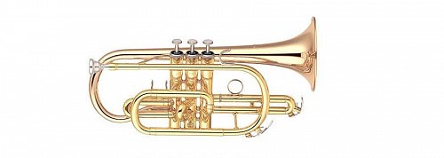 Корнет Yamaha YCR-4330G купить в Москве: цены, доставка, фото Корнет Yamaha YCR-4330G купить в Москве: цены, доставка, фото