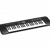 Синтезатор Casio CTK-240 купить в Москве: цены, доставка, фото Синтезатор Casio CTK-240 купить в Москве: цены, доставка, фото