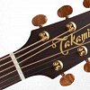 TAKAMINE PRO SERIES 3 P3D электроакустическая гитара типа DREADNOUGHT с кейсом, цвет натуральный купить в Москве: цены, доставка, фото TAKAMINE PRO SERIES 3 P3D электроакустическая гитара типа DREADNOUGHT с кейсом, цвет натуральный купить в Москве: цены, доставка, фото