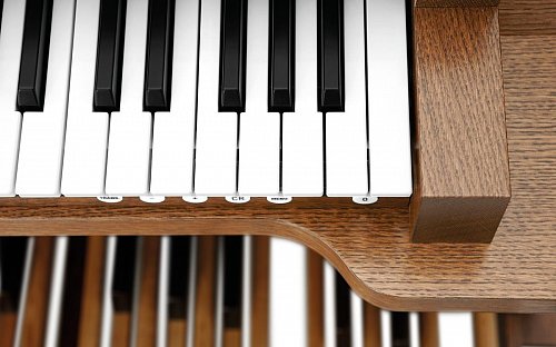 Johannus VIVALDI Series Vivaldi 250 купить в Москве: цены, доставка, фото Johannus VIVALDI Series Vivaldi 250 купить в Москве: цены, доставка, фото