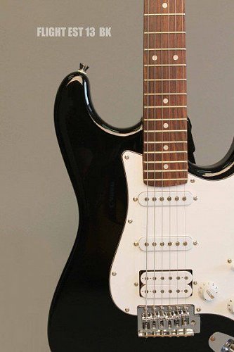 Электрогитара FLIGHT EST13 BK купить в Москве: цены, доставка, фото Электрогитара FLIGHT EST13 BK купить в Москве: цены, доставка, фото