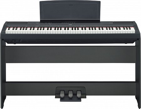 YAMAHA P-115B цифровое пианино купить в Москве: цены, доставка, фото YAMAHA P-115B цифровое пианино купить в Москве: цены, доставка, фото