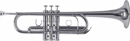 ROY BENSON TR-402CS труба (цвет серебро) купить в Москве: цены, доставка, фото