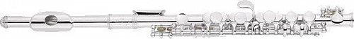 Флейта пикколо ARMSTRONG 204 купить в Москве: цены, доставка, фото Флейта пикколо ARMSTRONG 204 купить в Москве: цены, доставка, фото