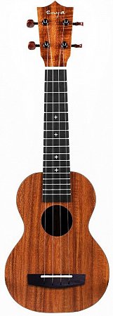 Укулеле Enya EUS-X1 купить в Москве: цены, доставка, фото Укулеле Enya EUS-X1 купить в Москве: цены, доставка, фото