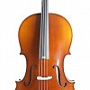 Виолончель KARL HEINLICH THC-37 1/2 купить в Москве: цены, доставка, фото Виолончель KARL HEINLICH THC-37 1/2 купить в Москве: цены, доставка, фото