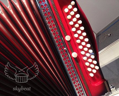 Гармонь многотембровая Littau 36/36/6/4 7R rd купить в Москве: цены, доставка, фото Гармонь многотембровая Littau 36/36/6/4 7R rd купить в Москве: цены, доставка, фото