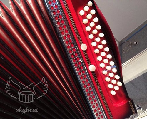 Гармонь многотембровая Littau 36/36/6/4 7R rd купить в Москве: цены, доставка, фото Гармонь многотембровая Littau 36/36/6/4 7R rd купить в Москве: цены, доставка, фото