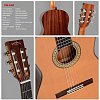 Классическая Гитара Sigma CM-6NF купить в Москве: цены, доставка, фото Классическая Гитара Sigma CM-6NF купить в Москве: цены, доставка, фото