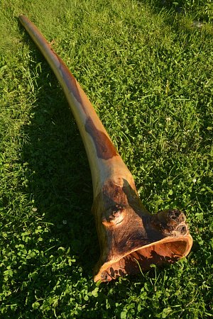 Диджериду эвкалипт корень 150 см – Ре# продажа в Москве Диджериду эвкалипт корень 150 см – Ре# купить в Москве: цены, доставка, фото