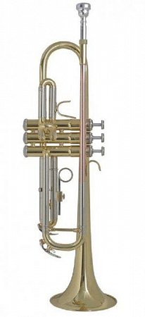 Труба "Bb" BACH TR-655 купить в Москве: цены, доставка, фото Труба "Bb" BACH TR-655 купить в Москве: цены, доставка, фото