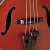 TAKAMINE LEGACY TB10 электроакустическая безладовая бас гитара, цвет коричневый купить в Москве: цены, доставка, фото TAKAMINE LEGACY TB10 электроакустическая безладовая бас гитара, цвет коричневый купить в Москве: цены, доставка, фото