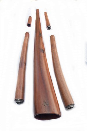 Диджериду из дерева Расамала – D,C#,C,B продажа в Москве Диджериду из дерева Расамала – D,C#,C,B купить в Москве: цены, доставка, фото