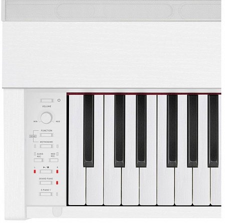 Купить privia px-870we, цифровое фортепиано в магазине Skybeat Купить privia px-870we, цифровое фортепиано в магазине Skybeat