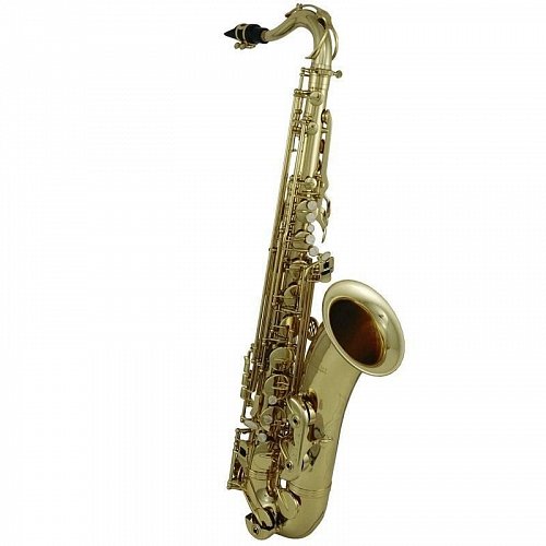 ROY BENSON TS-202 Bb тенор саксофон купить в Москве: цены, доставка, фото ROY BENSON TS-202 Bb тенор саксофон купить в Москве: цены, доставка, фото